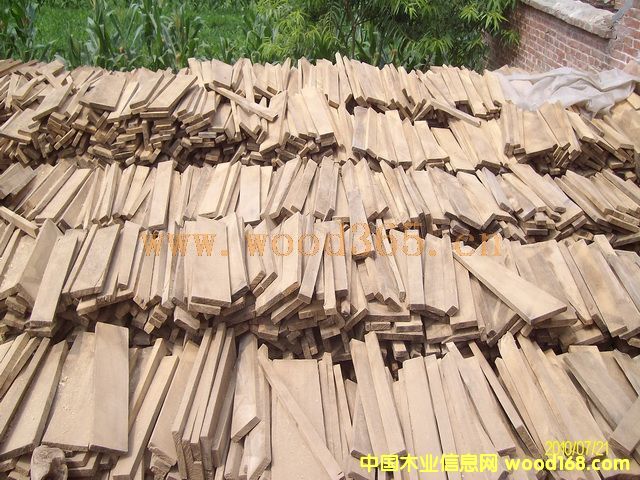 �c(di��n)���鿴��ľ��Ŵ�DƬ