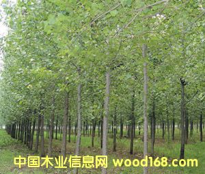 �c(di��n)���鿴vvvvv�Ŵ�DƬ