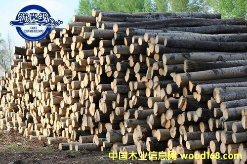 �c(di��n)���鿴aaaa�Ŵ�DƬ