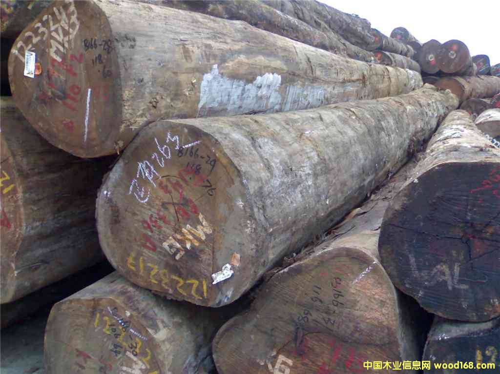 ��ؐ��Ԕ����B