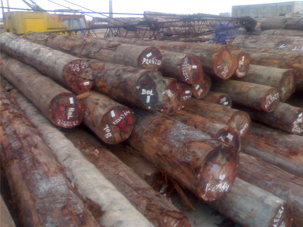 �F���ӣ���������Ԕ����B