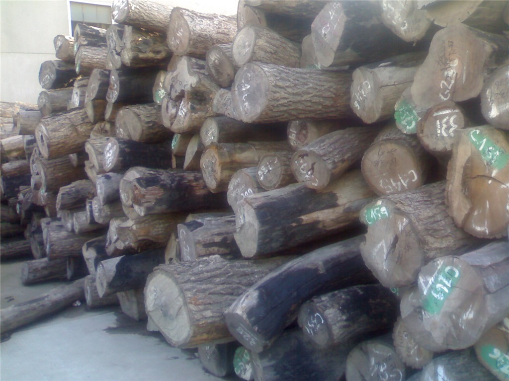 С�~�t̴��Ԕ����B