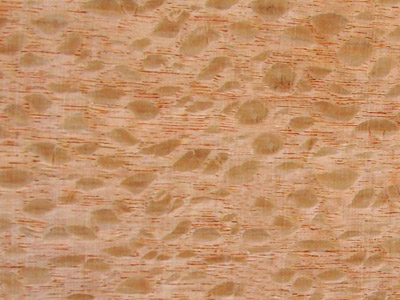 �y���Ԕ��(x��)��B