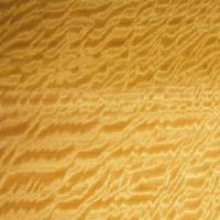 ��Ӱɳ����