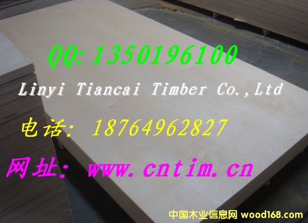 3��6���T���z�ϰ�