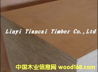 ��(y��u)�|(zh��)��ľ�����Ԕ����B