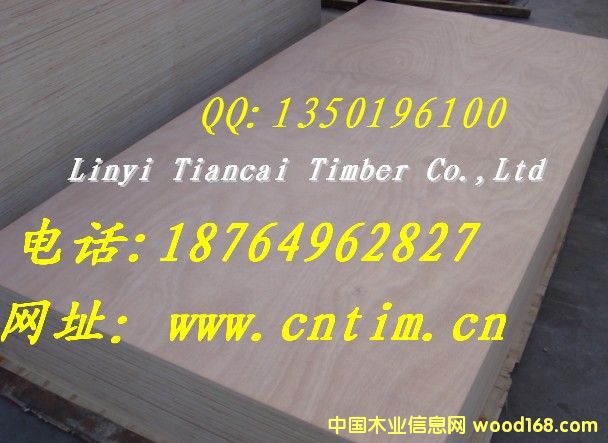 �W��������ľ��ؐ��ɼ�ȸ��N��׵ę���ϵ��