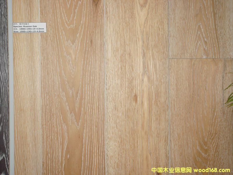 ��ľ��Ԕ��(x��)��B