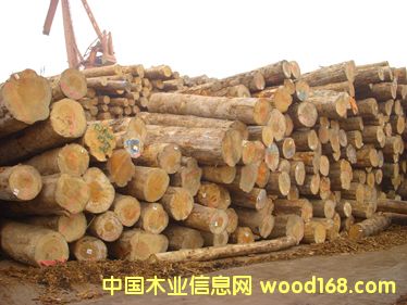 �Ϸ���ľ��Ԕ��(x��)��B