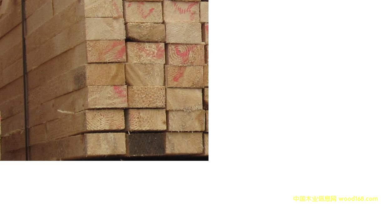 �Fɼ����ɼ��Ԕ��(x��)��B