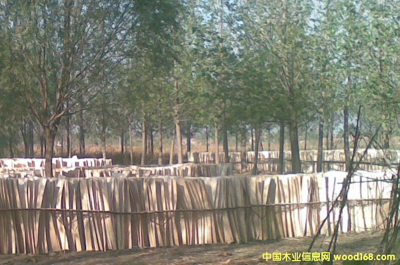 �ΰ��Ԕ��(x��)��B