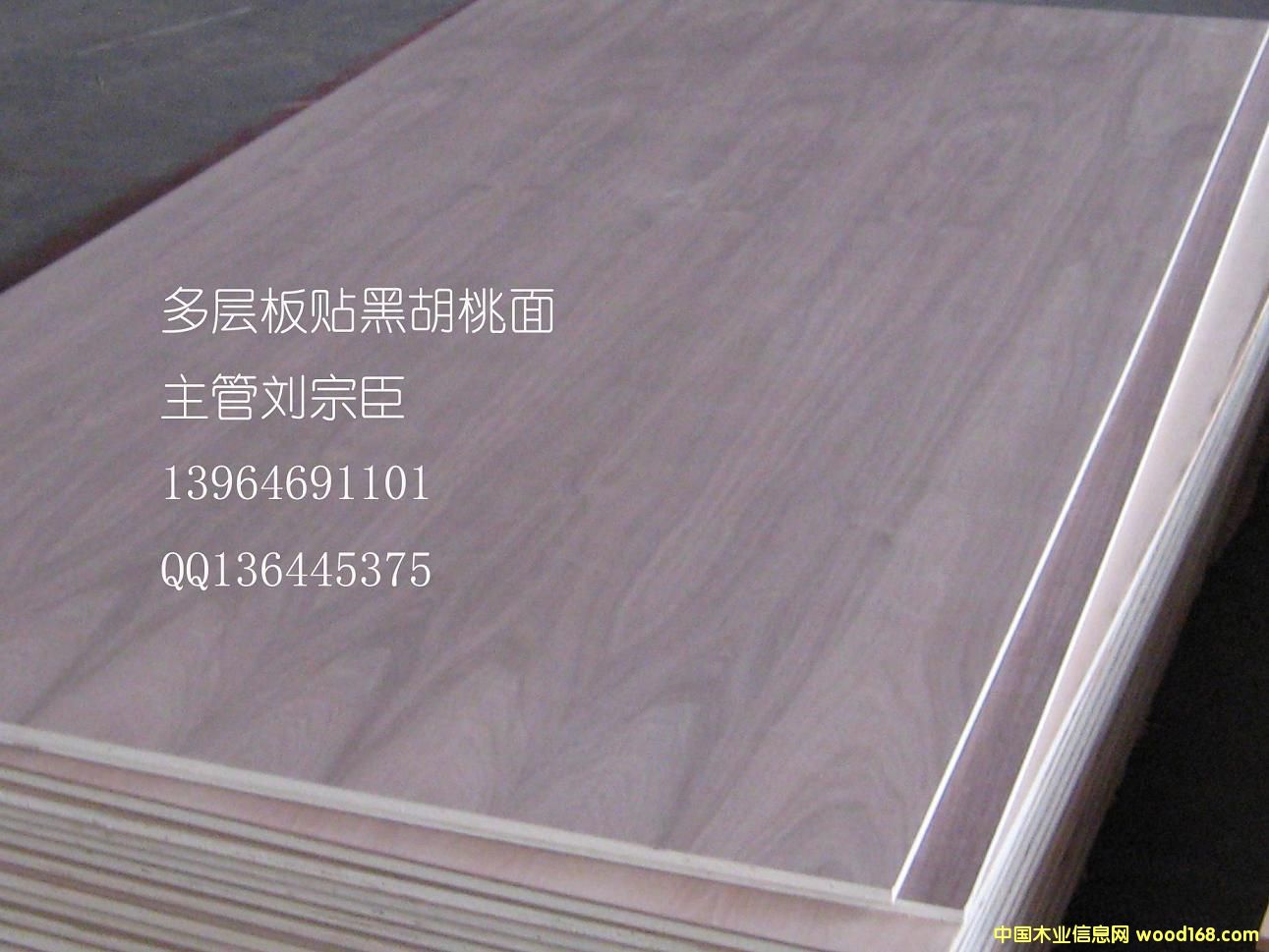 ���Ӱ��ܶȰ��N���NľƤ