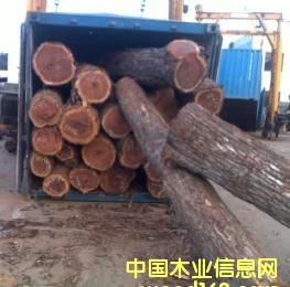 �t�F����CHANATO����Ԕ����B