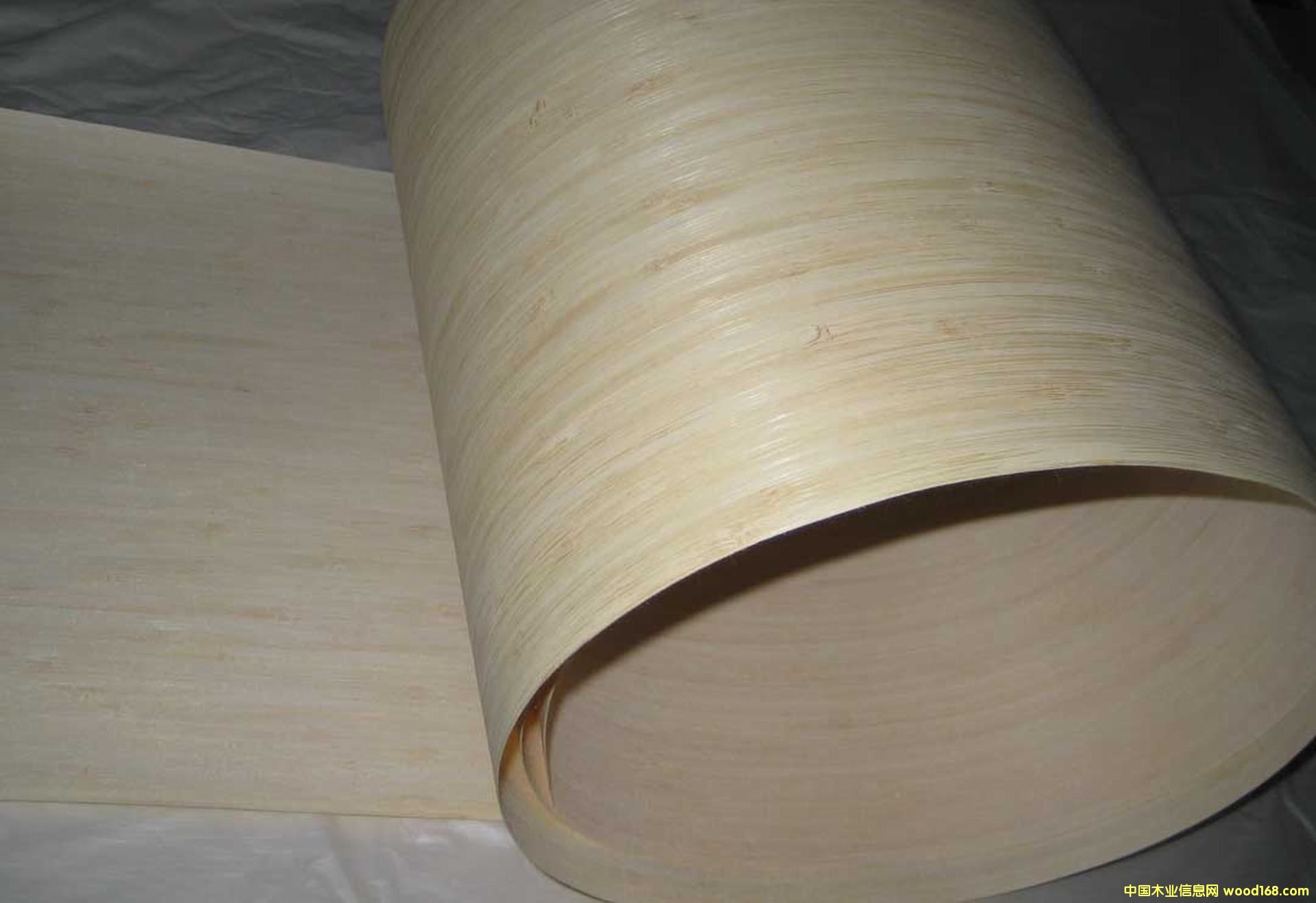 ������Ƭ �N����� ���NƤ��� �NƤ����Ԕ����B