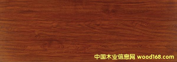 ���˼y�¹�ϵ�� 6061��Ԕ��(x��)��B