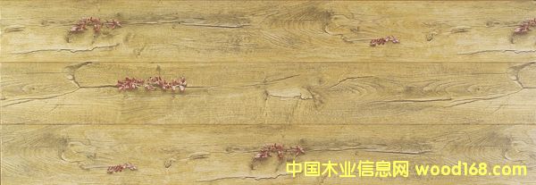 ���˼y�¹�ϵ�� 6062��Ԕ��(x��)��B