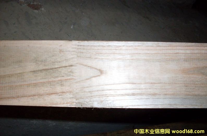 �sľ---�ᗗľ���Ʒ