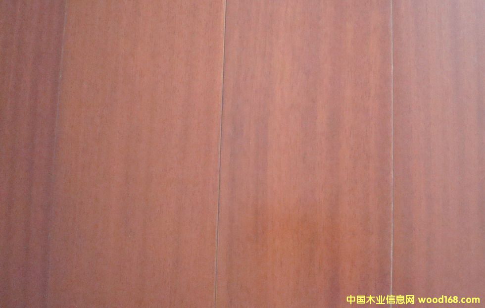 ��ľ�L(zh��ng)���ذ�