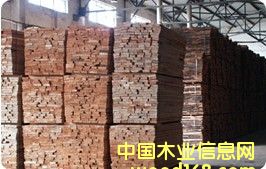 �W�ޙ�ľ����ľ��ĵ�Ԕ��(x��)��B