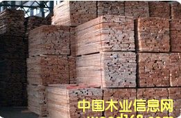 �W�ޙ�ľ����ľ����Ԕ��(x��)��B