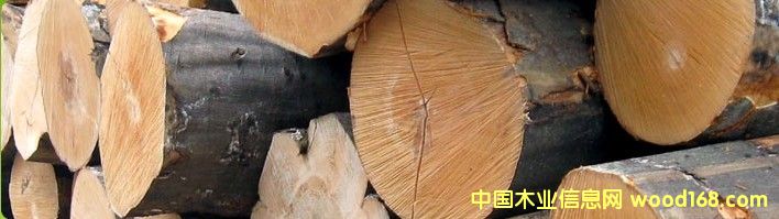 �W�ޙ�ľ����ľԭľ��Ԕ��(x��)��B