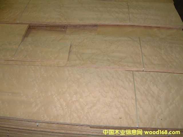 ȸ�ۣ���ľȸ����ȸ�ۗ�ľ