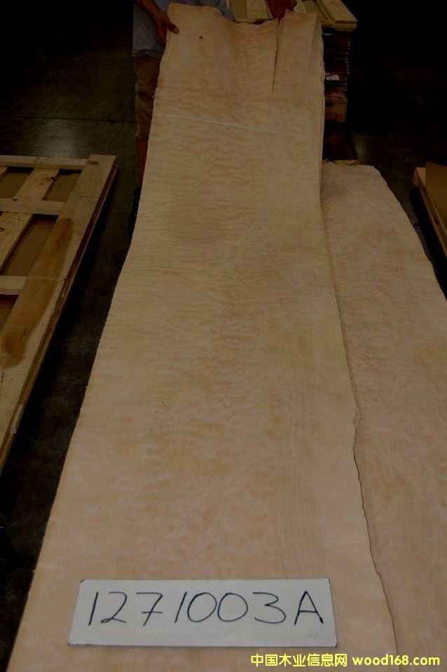 ��y��ľ����ľ��y