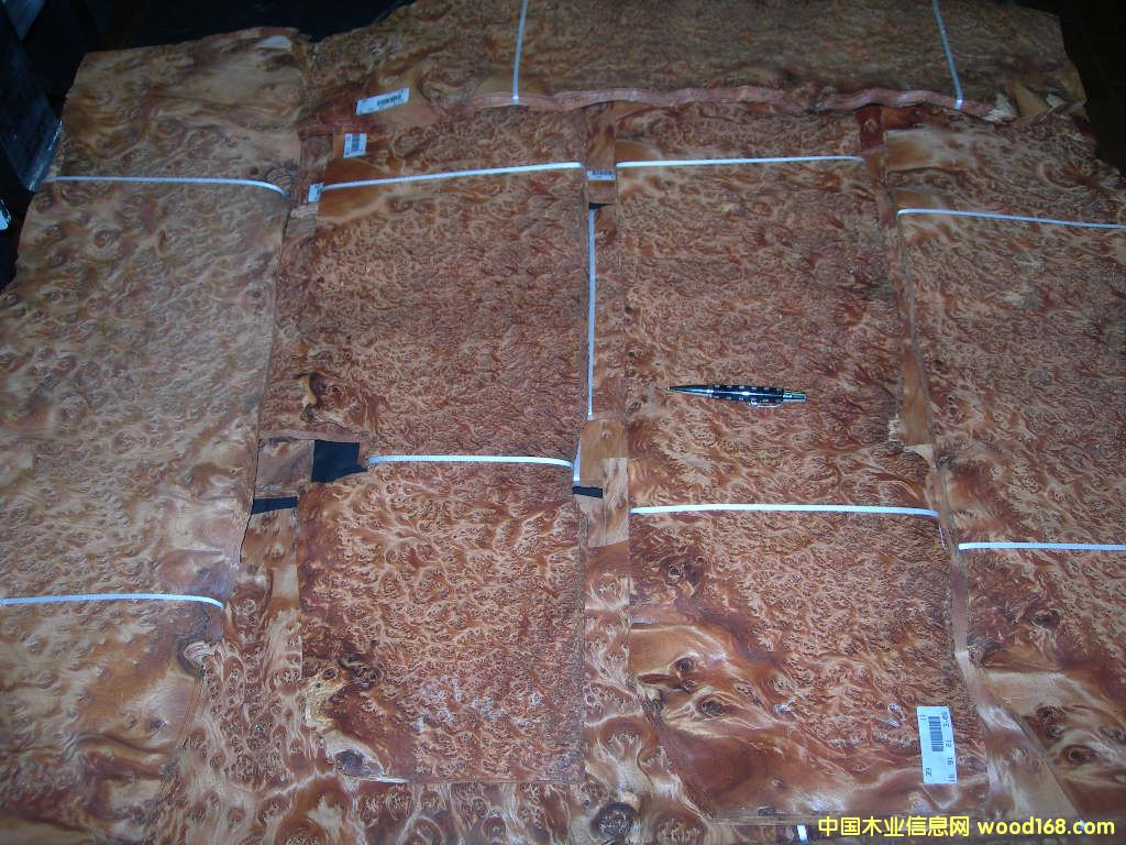 ���������THUYA BURL