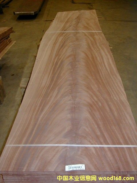 �һ��Ę�棬�һ��Ĳ�ľ����ľ