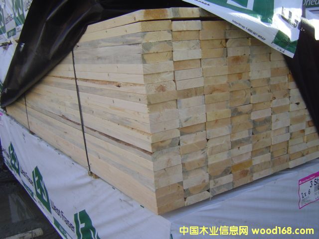 ����SPF 2-3��(j��)��Ԕ��(x��)��B