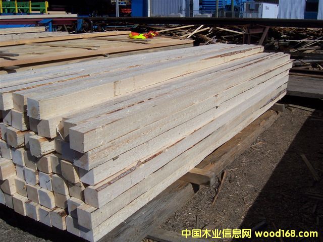 ��ɼ���ԭľ��Ԕ��(x��)��B