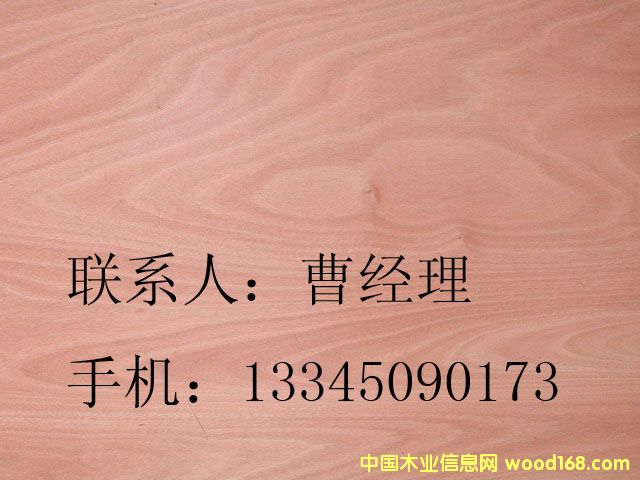 �W�����ΰ�