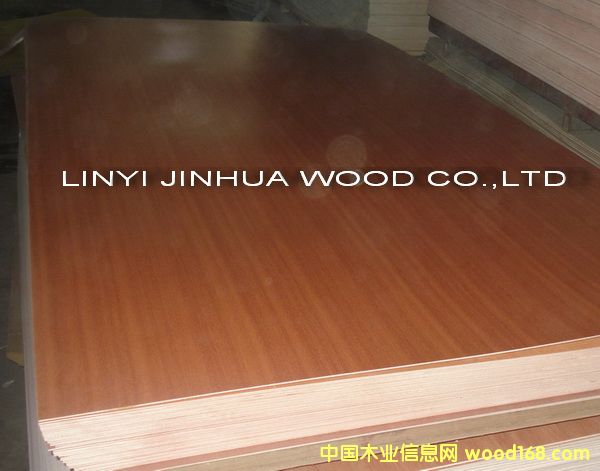 pvc �z�ϰ�/������