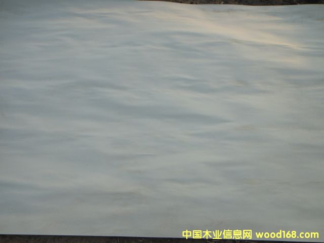 ��ľ����Ԕ��(x��)��B