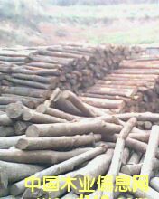 ľ�ĈDƬ��Ԕ��(x��)��B