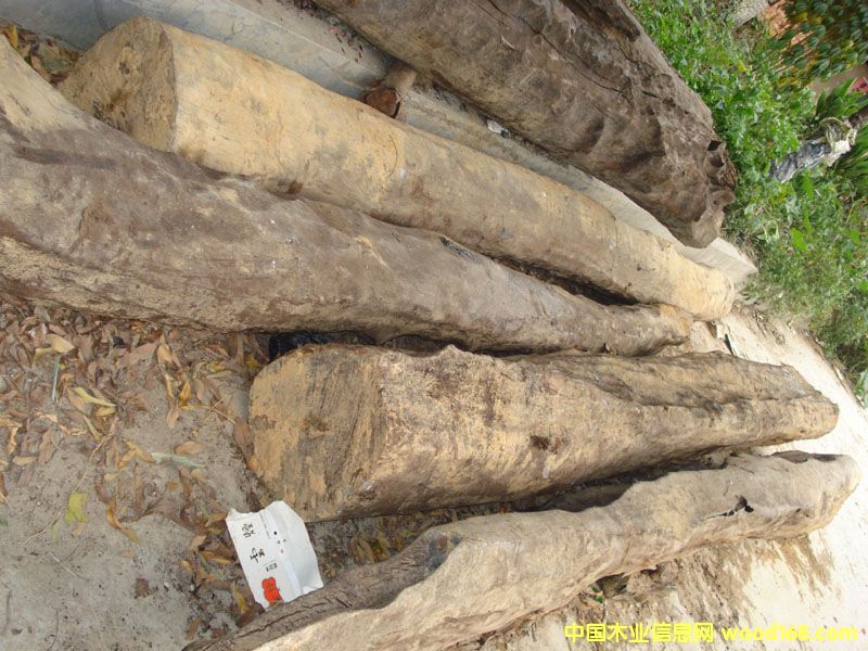 �c���鿴ˮ��ľ���Fľ�Ŵ�DƬ