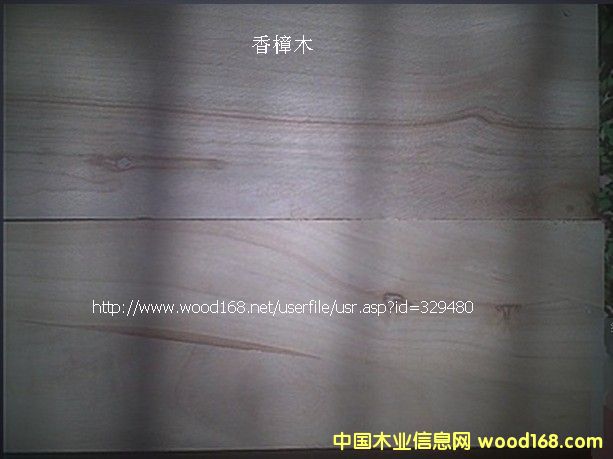 ����ľ��Ԕ����B