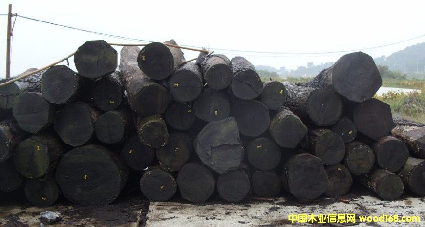 �ں���ԭľ3��Ԕ����B