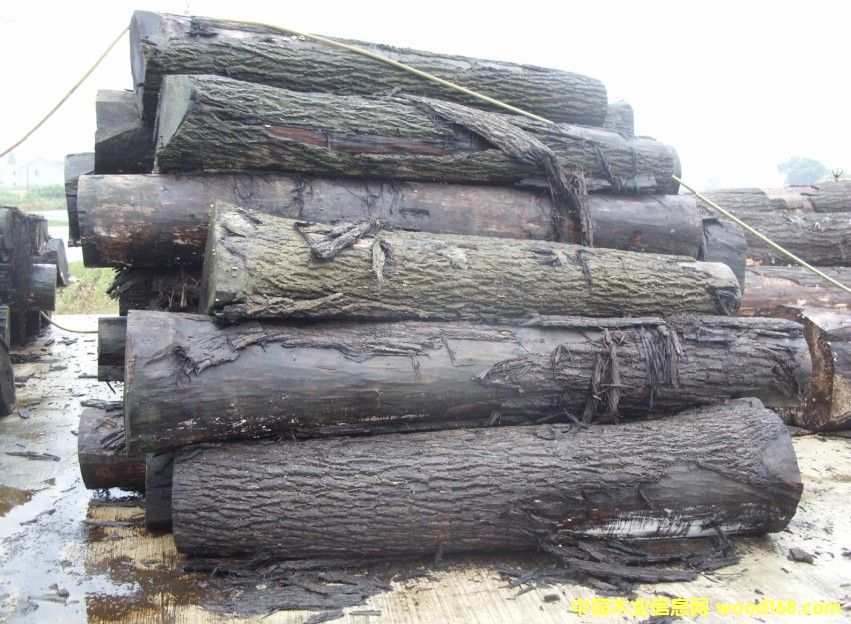 �ں���ԭľ2��Ԕ����B