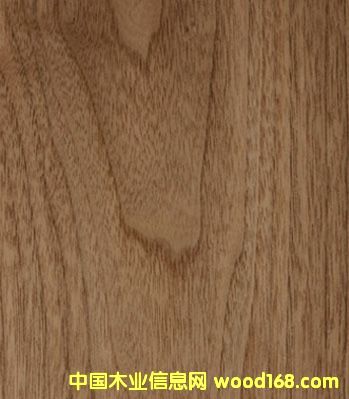 ľƤ1��Ԕ��(x��)��B