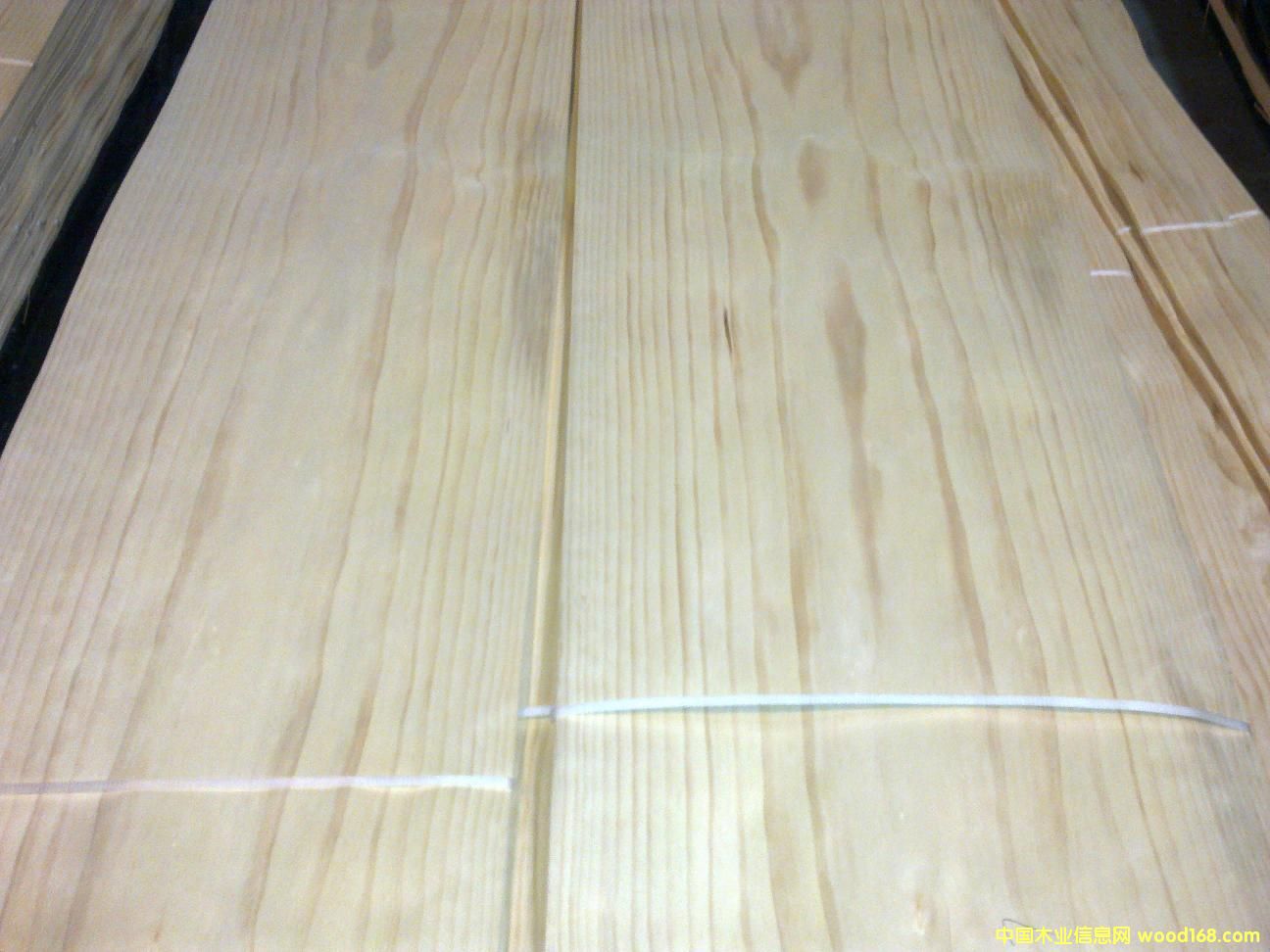 �����m��ľƤ��Ԕ��(x��)��B