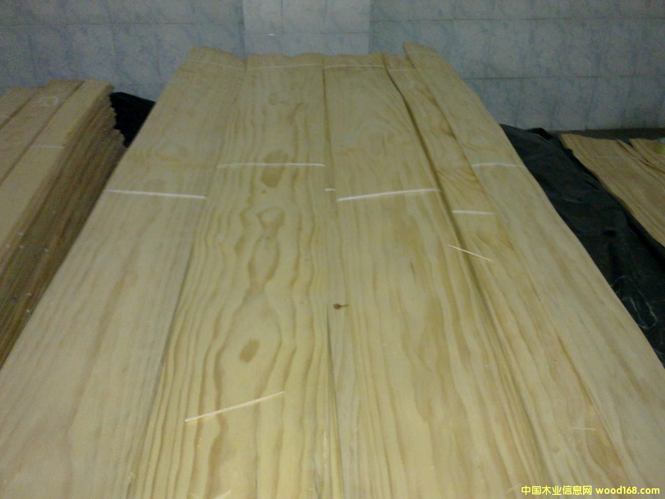 �����m��ľƤ��Ԕ��(x��)��B