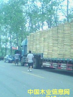 ��ľ�ΰ�����Ԕ����B