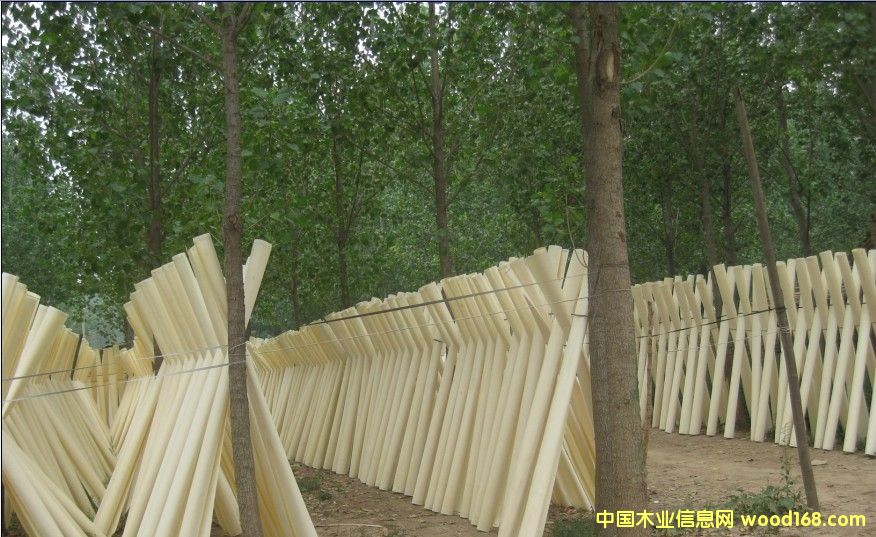 �ΰ�3��Ԕ����B