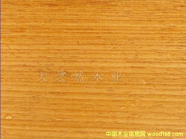 ˮ����ľ��Ԕ��(x��)��B