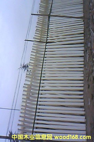 Ư�ח�ľ��Ƥ��Ԕ����B