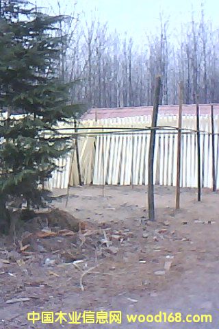 Ư�ח�ľ��Ƥ��Ԕ����B