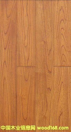 ��ľ--����ʥĸԺ��Ԕ����B