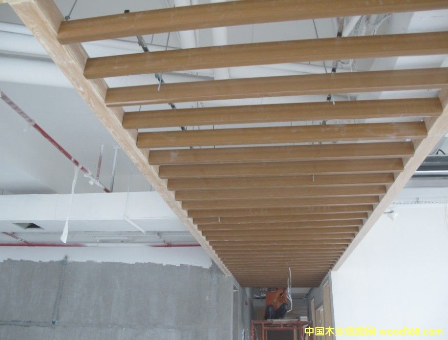 ���ڌ���ʢ���B(t��i)ľ��Ԕ��(x��)��B