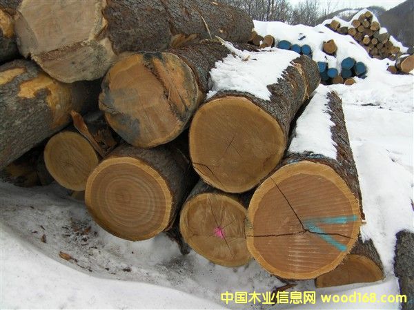 ��������ľ��Ԕ����B